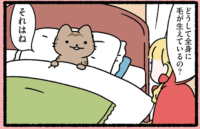 【赤ずきんとねこ】「ねぇ、どうして？」赤ずきんの質問に、ねこはどう答える？