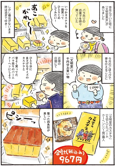 今月のごほうびで夢を叶えることに