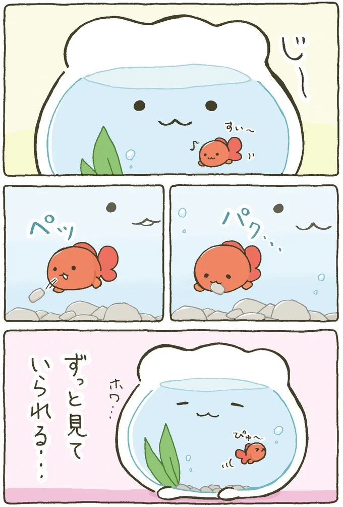 『金魚鉢ちゃん-ずっといっしょのまいにち』より