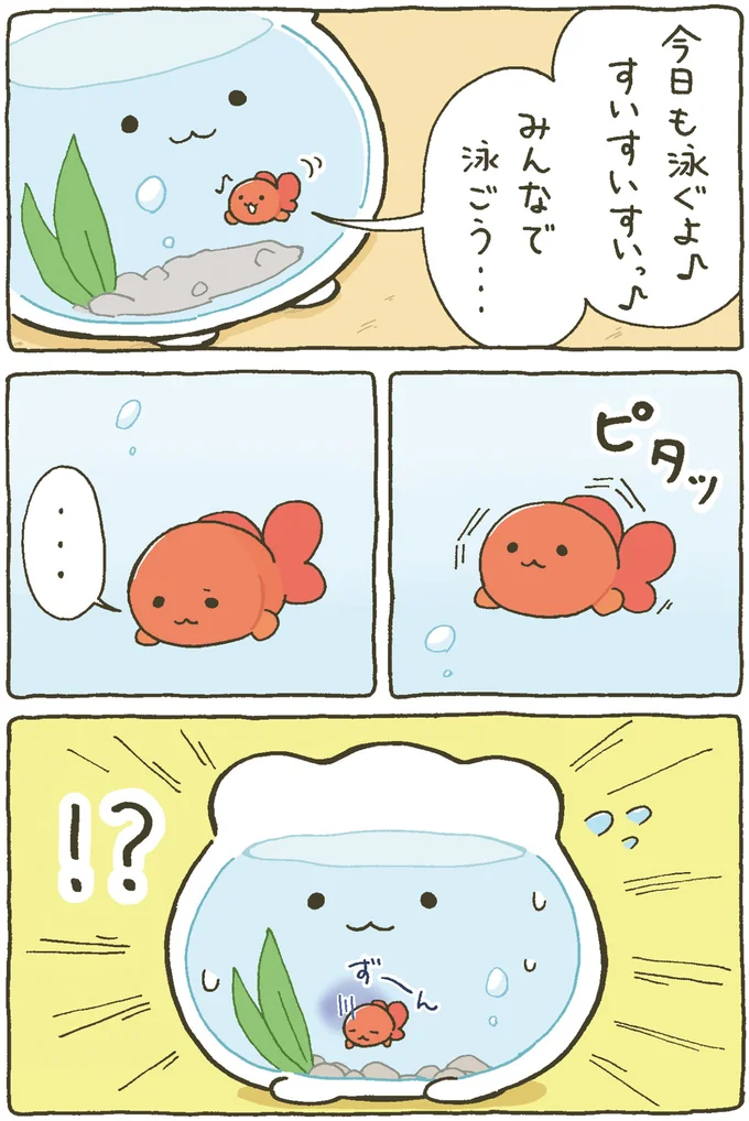 『金魚鉢ちゃん-ずっといっしょのまいにち』より