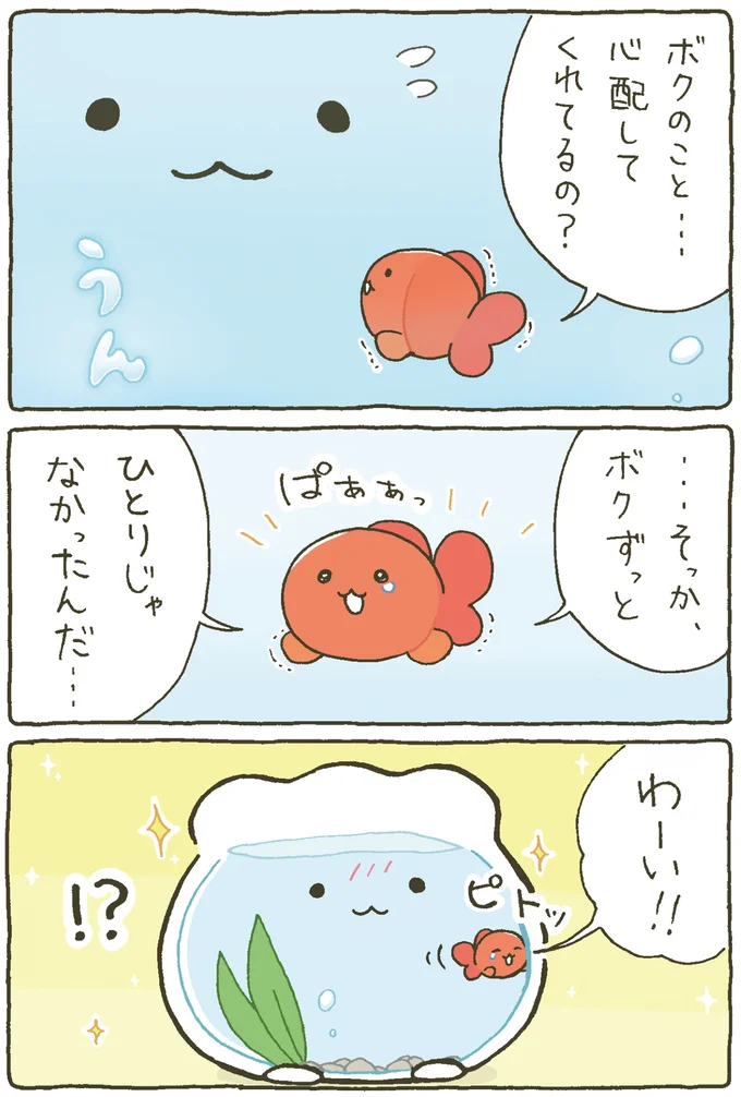 『金魚鉢ちゃん-ずっといっしょのまいにち』より