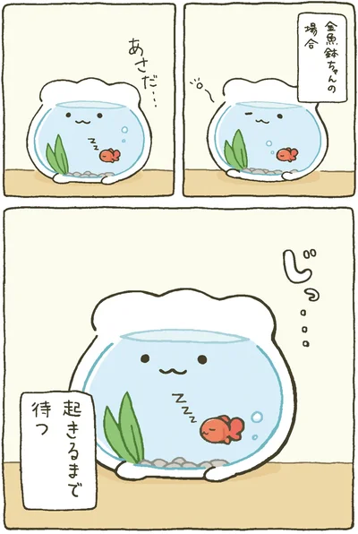 『金魚鉢ちゃん-ずっといっしょのまいにち』より