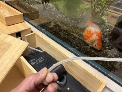 「かわいいインコたちがエアホース噛んでくれるから、ホース交換が忙しい」▶こんな風に齧られています（⇒次へ）