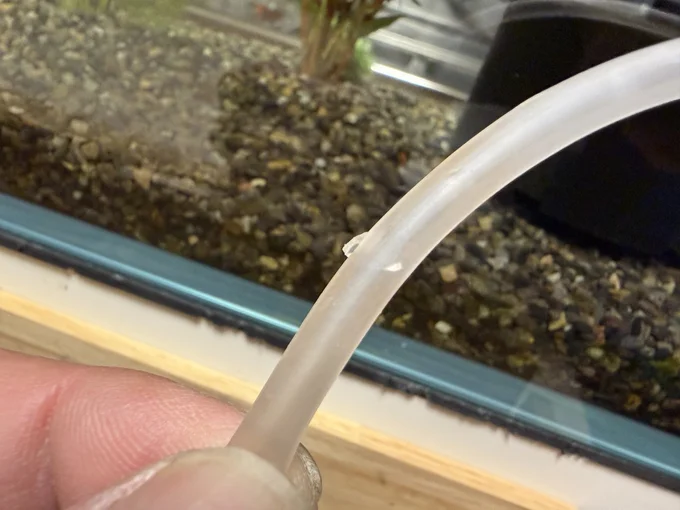 齧られちゃったエアホース▶金魚はピンポンパールという種類（⇒次へ）