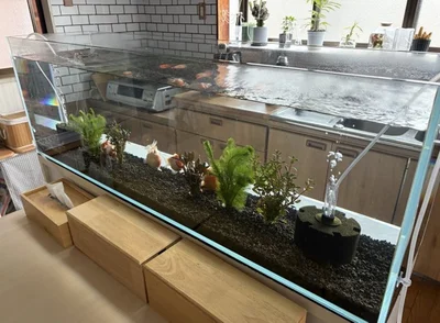 「アクアリウムは癒し」（⇒次からは、金魚鉢ちゃんと金魚くんの可愛らしい日常を描いたマンガ『金魚鉢ちゃん ずっといっしょのまいにち』の試し読みができます！）