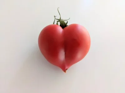 見つけたらラッキーな幸運のトマトですね♡▶キュートなトマト、まだあります！（⇒次へ）