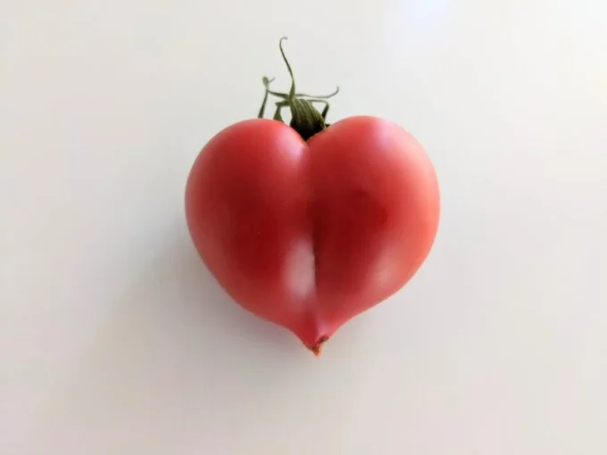 見つけたらラッキーな幸運のトマトですね♡▶キュートなトマト、まだあります!(⇒次へ)