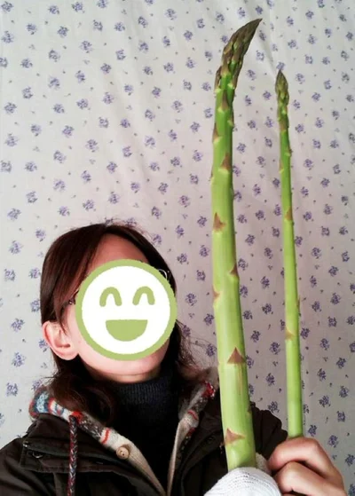 実はとっても柔らかいのだそう▶収穫してきた中で一番陽気なトマト（⇒次へ）