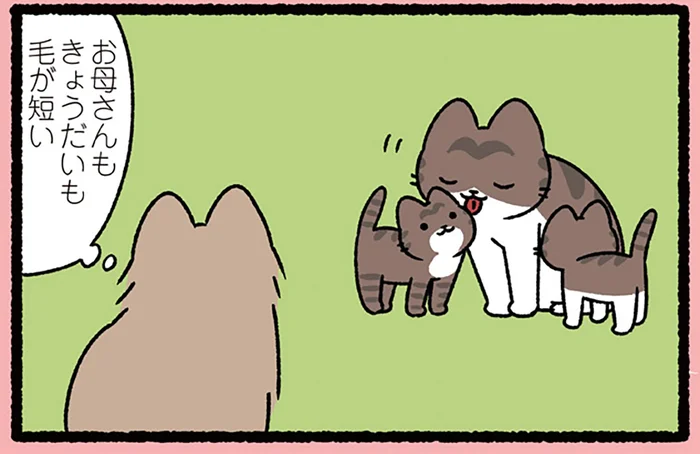 【みにくいアヒルの子なねこ】素朴な疑問。どうして自分だけ容姿が違うんだろう