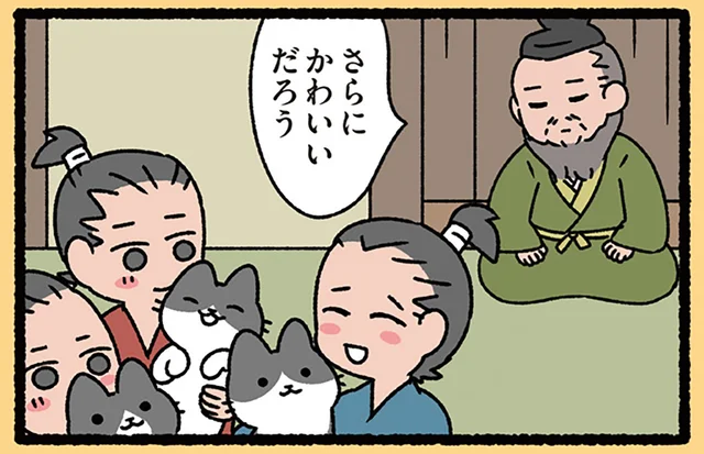 【3匹のねこの教え】1匹でも可愛いのに！ 集まってさらに可愛くなるねこたち