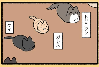 集う円卓の騎士たち？