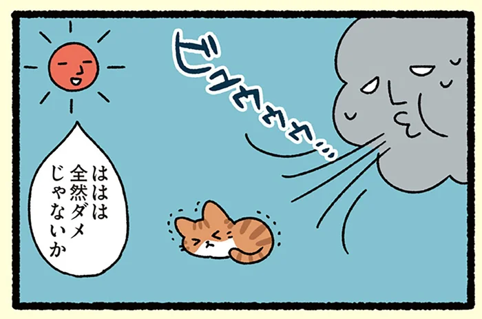 【北風と太陽とねこ】「全然ダメじゃないか」北風を笑うが、太陽もうまくいかず？
