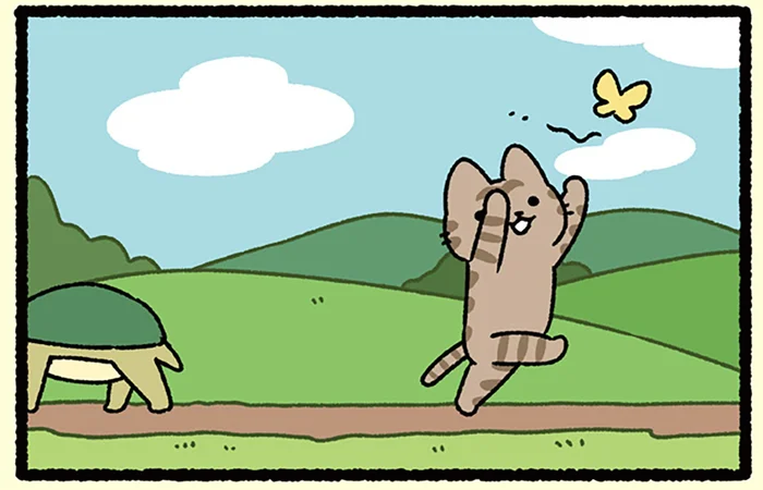 【うさぎとカメとねこ】競争とは一体？ スタートしても自由すぎるねこ