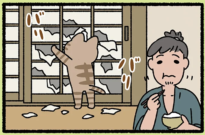 気にせずバリバリ