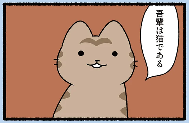 【吾輩は猫である】胸を張って主張するねこ。名前はまだない？