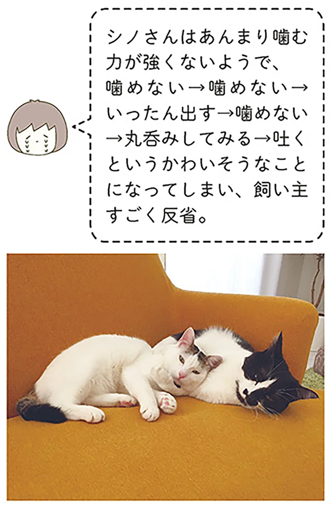 『うちの猫がまた変なことしてる。』より
