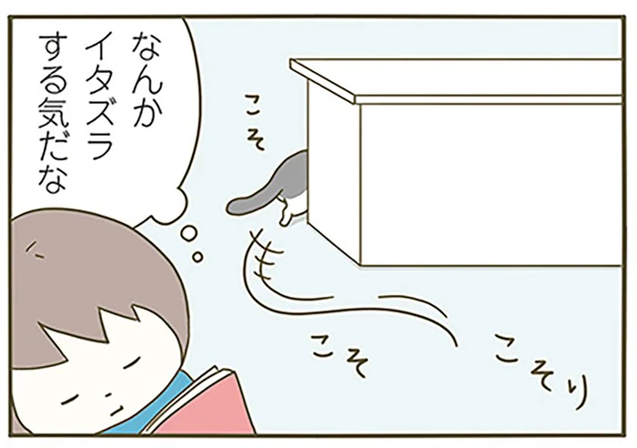 イタズラする気だな？ 飼い主を見上げてコソコソする猫の行方は