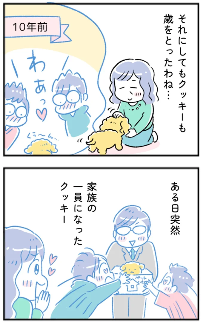 クッキーも歳をとったわね…