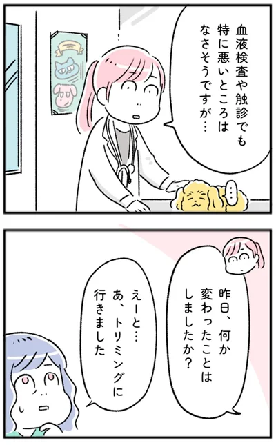 昨日、何か変わったことはしましたか？
