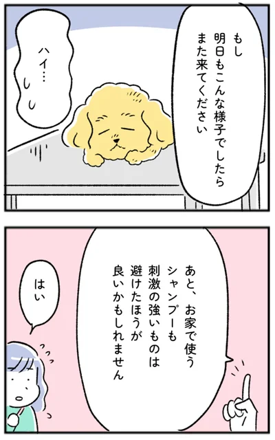 明日もこんな様子でしたらまた来てください