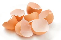 美肌に洗い物、チョーク… 捨てちゃう“卵の殻”の意外な活用方法