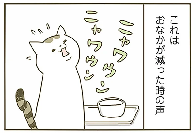 ごはんが欲しい、遊びたい。よく鳴くうちの猫、今はどんな理由で鳴いてるの？