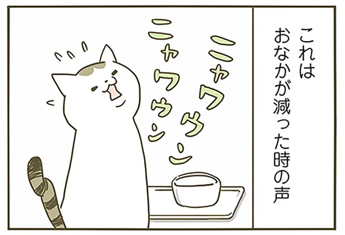 ごはんが欲しい、遊びたい。よく鳴くうちの猫、今はどんな理由で鳴いてるの？