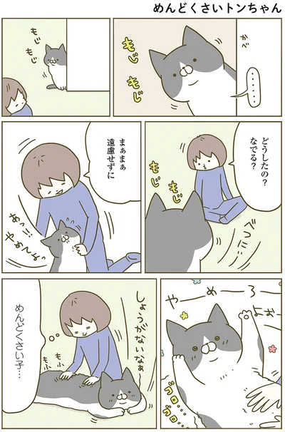 どうしたの？なでる？
