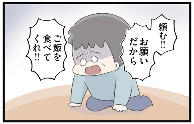 お願いだからご飯を食べてくれ！！