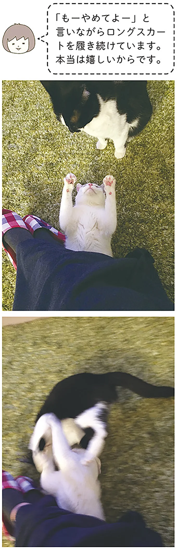 本当は嬉しいからです。