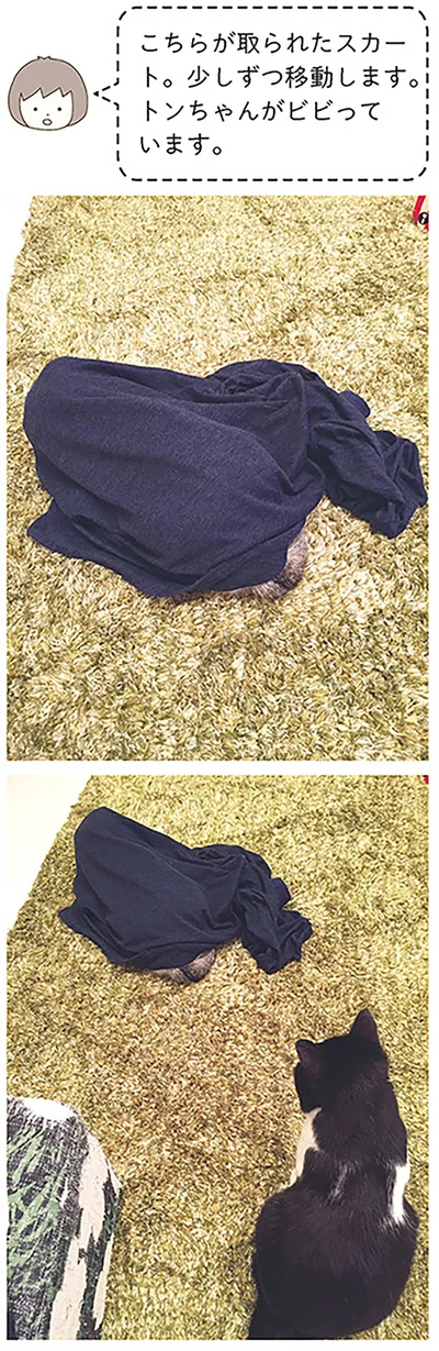 少しずつ移動します。