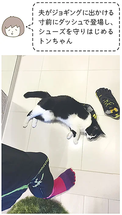 シューズを守りはじめるトンちゃん