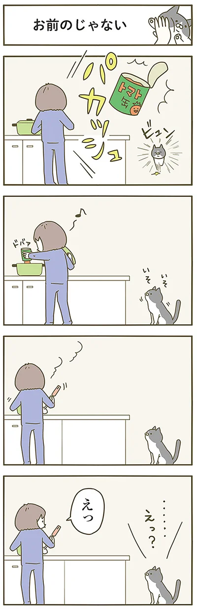 お前のじゃない