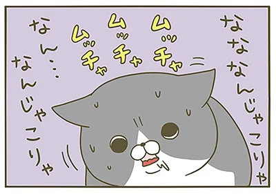 なんじゃこりゃ…