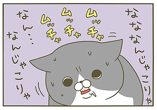 珍しい食べ物に困惑？ キャットフードを普段食べている猫にマグロをあげてみたら