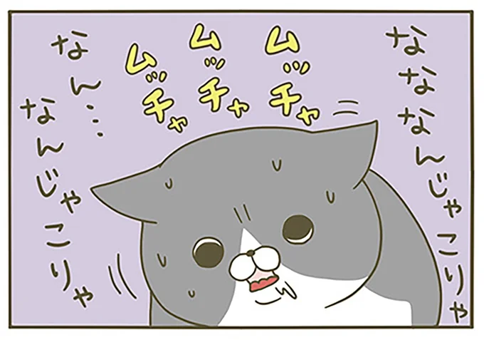 なんじゃこりゃ…