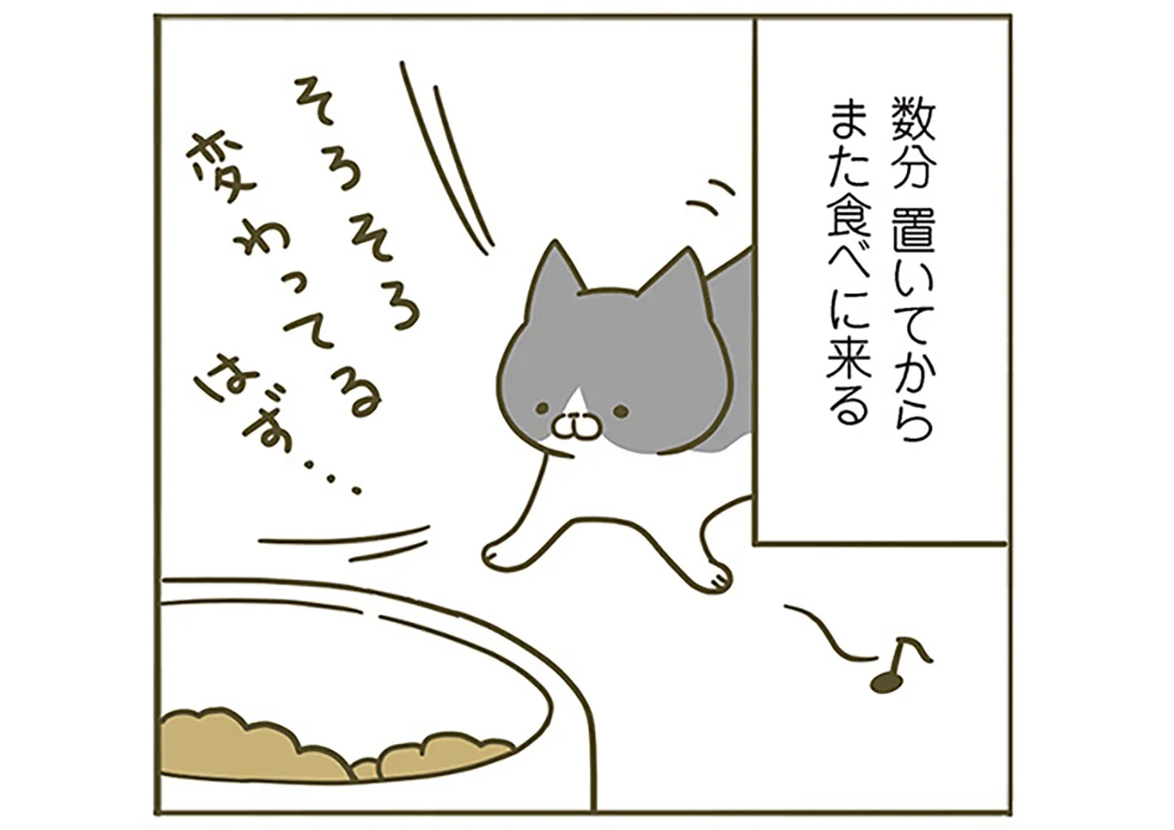 そろそろ変わってるはず」好きじゃないごはんを前にした猫の反応