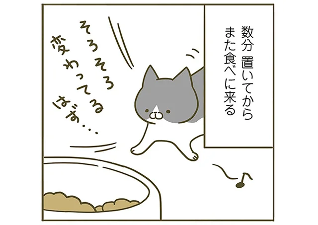 「そろそろ変わってるはず」好きじゃないごはんを前にした猫の反応