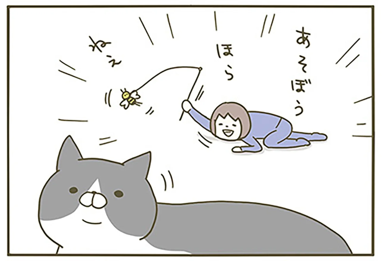 遊ぼう！ ほら！ ねえ！ ある夏の日、テンション高めに猫にかまった