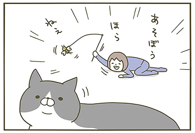 遊ぼう！ ほら！ ねえ！ ある夏の日、テンション高めに猫にかまったときのこと