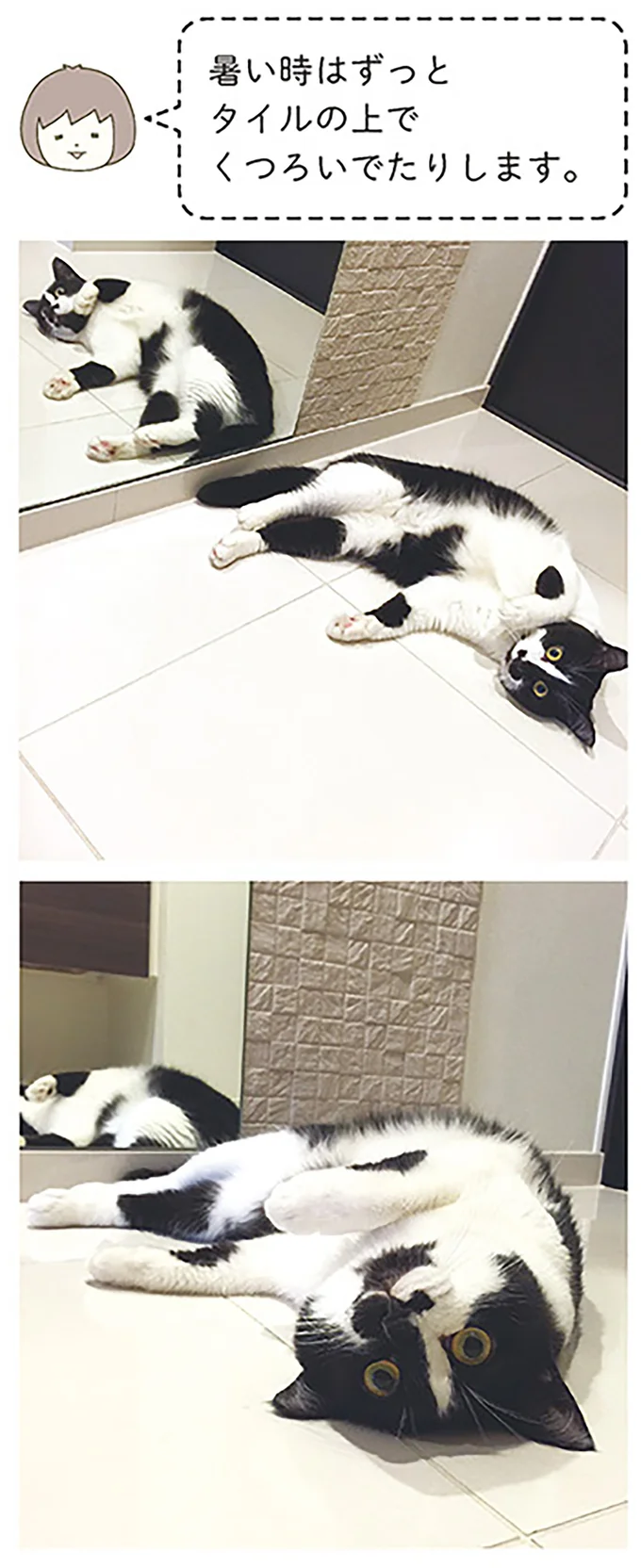 暑い時はずっとタイルの上でくつろいでたりします