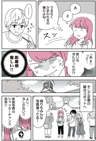 「14歳男子の継母になった私」より