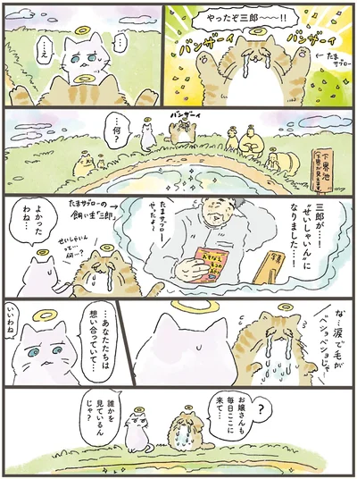 『天国での暮らしはどうですか』より