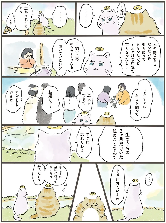 『天国での暮らしはどうですか』より