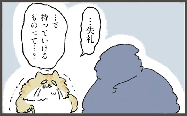 明日この世を去る老猫。飼い主を想い続けた末に選んだ「不幸」とは