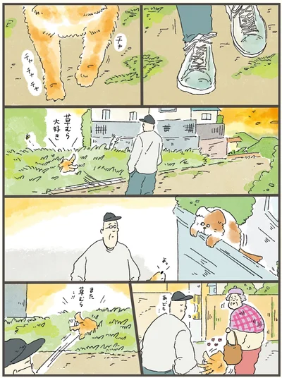 『天国での暮らしはどうですか2』より