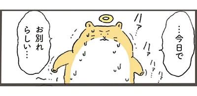 …今日でお別れらしい…