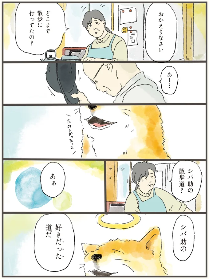 どこまで散歩に行ってたの？