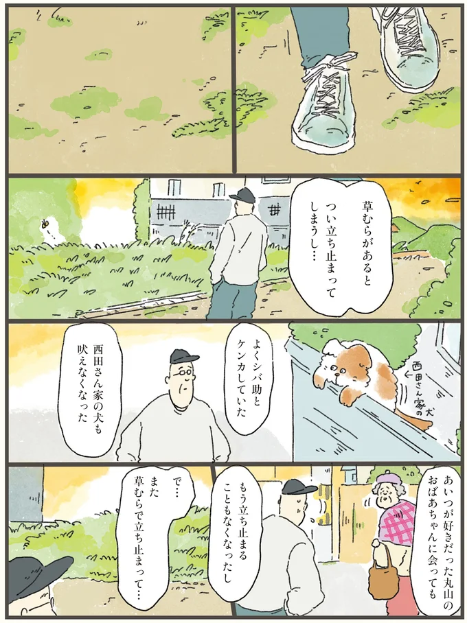 草むらがあるとつい立ち止まってしまうし…