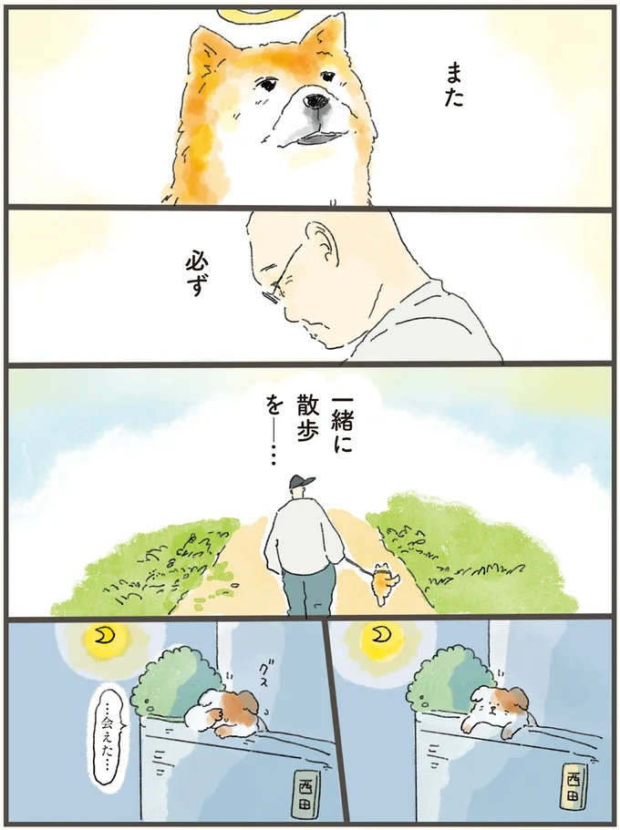 また必ず一緒に散歩を